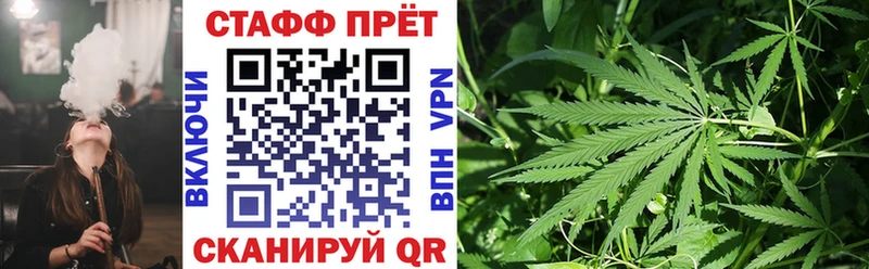 Купить наркоту Починок A PVP МЕФ Псилоцибиновые грибы Гашиш Канабис COCAIN