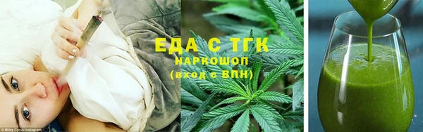 СК Алексин