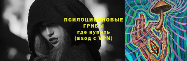 бошки Алексеевка