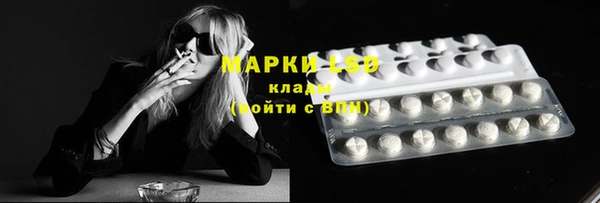 СК Алексин
