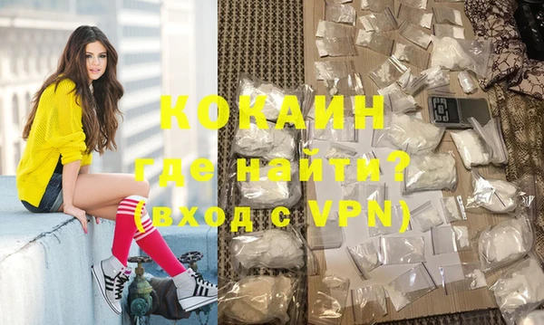 СК Алексин